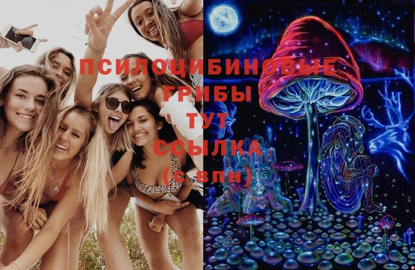 марки lsd Белокуриха