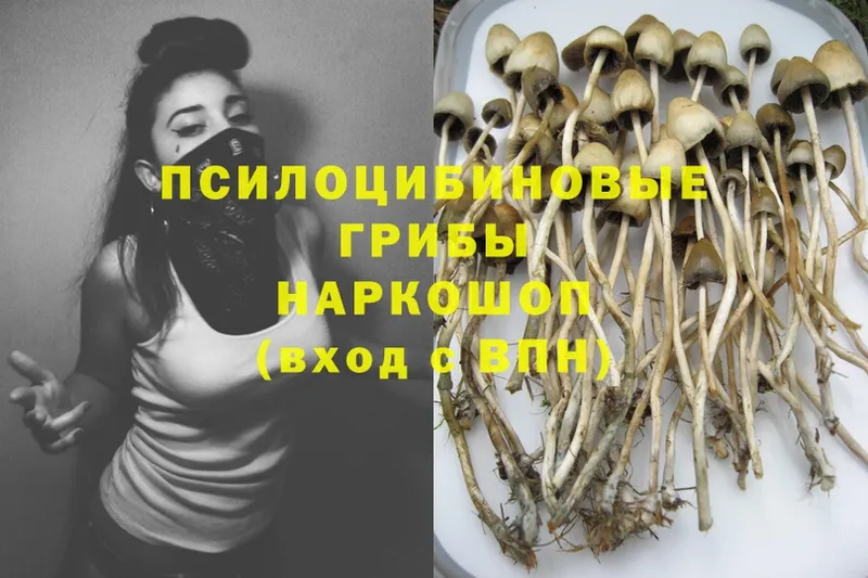 OMG сайт  где купить наркоту  Верхнеуральск  Псилоцибиновые грибы Psilocybe 